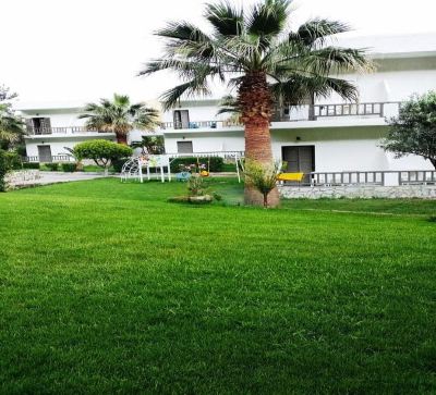 a well - maintained lawn with a palm tree and several chairs , surrounded by white buildings in the background at Valley Village