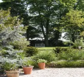 Motts Bed & Breakfast Hotels in Dunmow