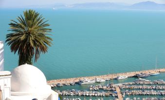 a marina with multiple boats docked in the water , surrounded by a large body of water at Four Seasons Hotel Tunis