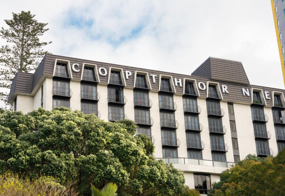 오클랜드 CBD 거리 전경