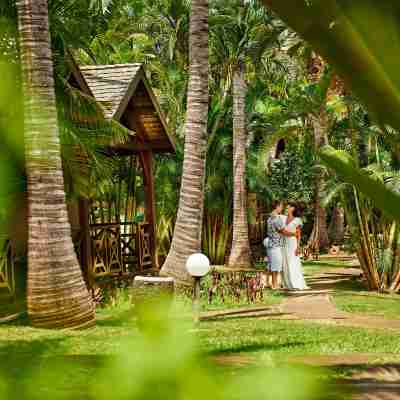 Iloha Seaview Hotel Hotel Exterior