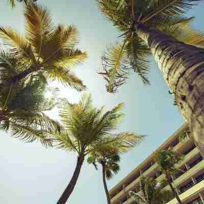 Barcelo Aruba - All Inclusive Resort Hotel Exterior