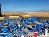 Riad Sidi Magdoul Hôtels à : Essaouira