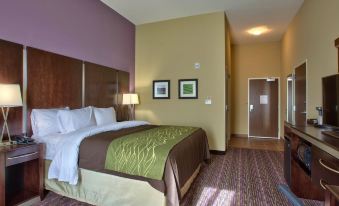 Comfort Inn & Suites Dothan East