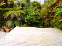 Franz Josef Treetops Hotels in Franz Josef