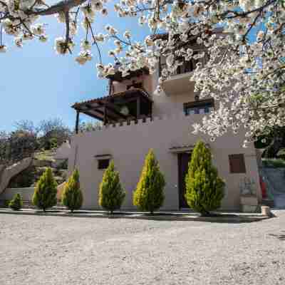 Aori Hillside Villa Hotel Exterior