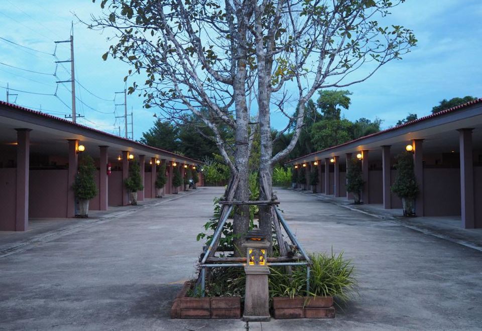 a large tree stands in the middle of a parking lot , surrounded by several small buildings at Rimmueng Resort