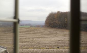 a rural landscape with a field of corn , trees in the background , and a window looking out at the countryside at The Welldiggers Arms