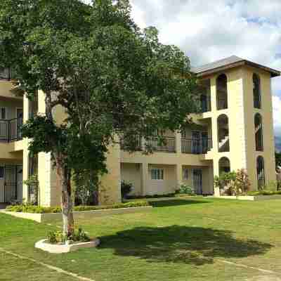 New Kingston Guest Apartments @ Donhead Hotel Exterior