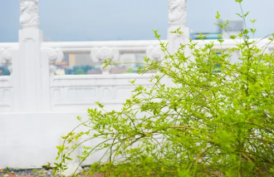 台北凱撒大飯店 Photos