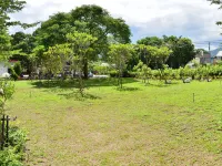 金暉ホテル 台東鹿野 Hongye Teenage Baseball Memorial Hall周辺のホテル