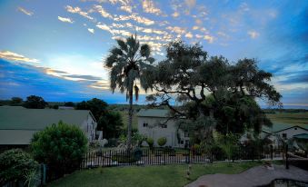 a large house surrounded by a lush green garden , with a palm tree in the foreground at Maun Lodge