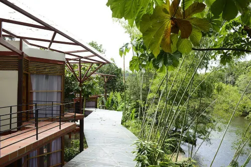 Itamandi EcoLodge - Homestays