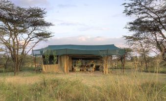 Kicheche Bush Camp