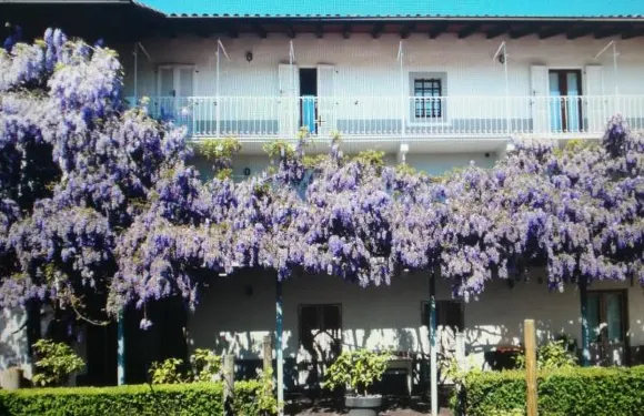 阿格里圖裡斯莫卡普其納酒店