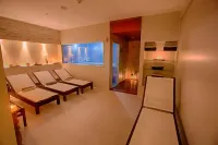 Fusion Hplus Express + - spa