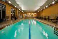 Holiday Inn SAN ANTONIO SEAWORLD by IHG - Resorts