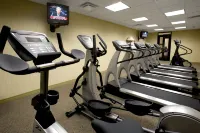 Sheraton West des Moines Hotel - palestra