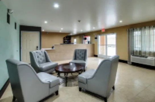 스코티시 인 화이트 세틀먼트