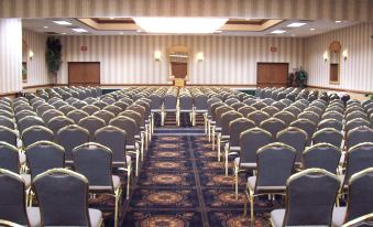 Holiday Inn & Suites Chicago-Carol Stream Wheaton, an IHG Hotel