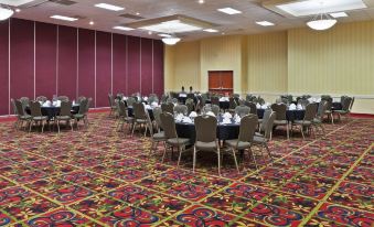 Mcm Elegante Hotel & Suites Lubbock