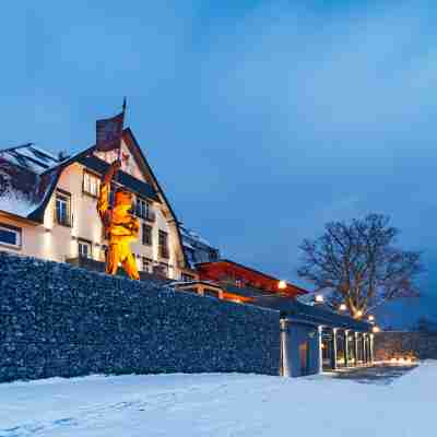 Bodensee-Hotel Sonnenhof Hotel Exterior