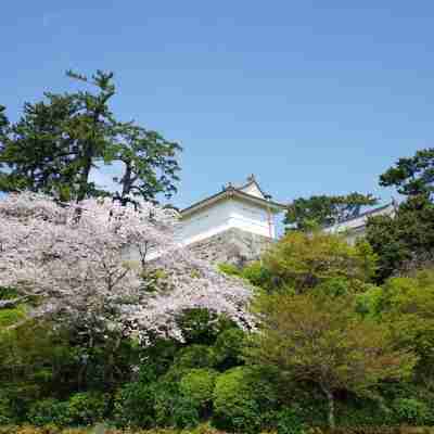 日乃出旅館 Hotel Exterior