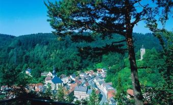 Gasthof & Hotel Goldener Hirsch