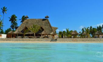 White Paradise Zanzibar