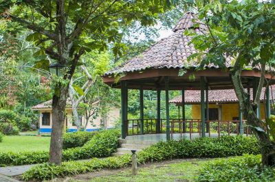 Public Areas Villa Lapas Jungle Village Photo