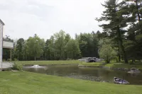 더 폰드 앳 폭스홀로