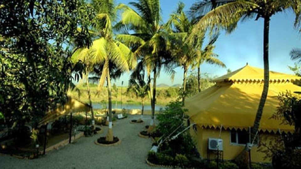 Lion Safari Camp