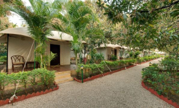 Lion Safari Camp - Housity