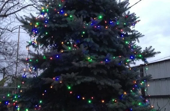 斯韋特蘭娜旅館