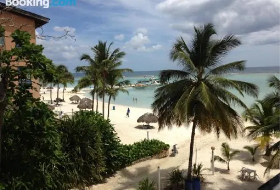 阿麗娜可可海灘酒店