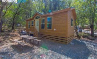 Oakzanita Springs Camping Resort Cottage 4