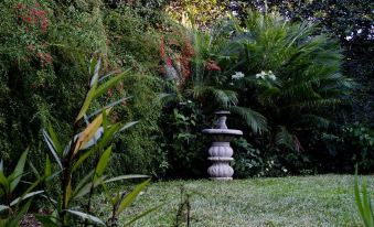 Hotel Colibri