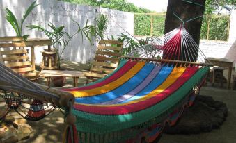 Hostal Malinche Leon - Housity