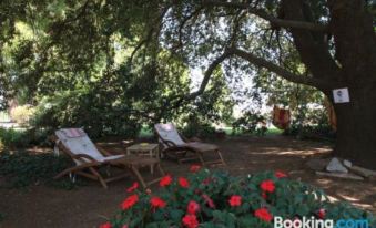 Agriturismo la Ronca - Housity