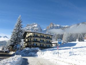 Dolomites Wellness Hotel Savoy