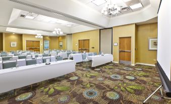 Holiday Inn & Suites Bolingbrook