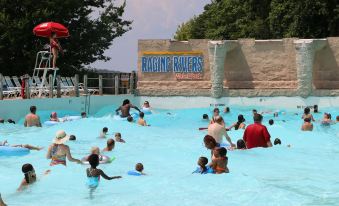 a large group of people , both adults and children , are enjoying themselves in a water park , splashing and playing in the pool at Green Tree Inn