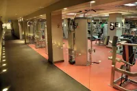 耶路撒冷皇冠假日酒店 - 健身室/gym room