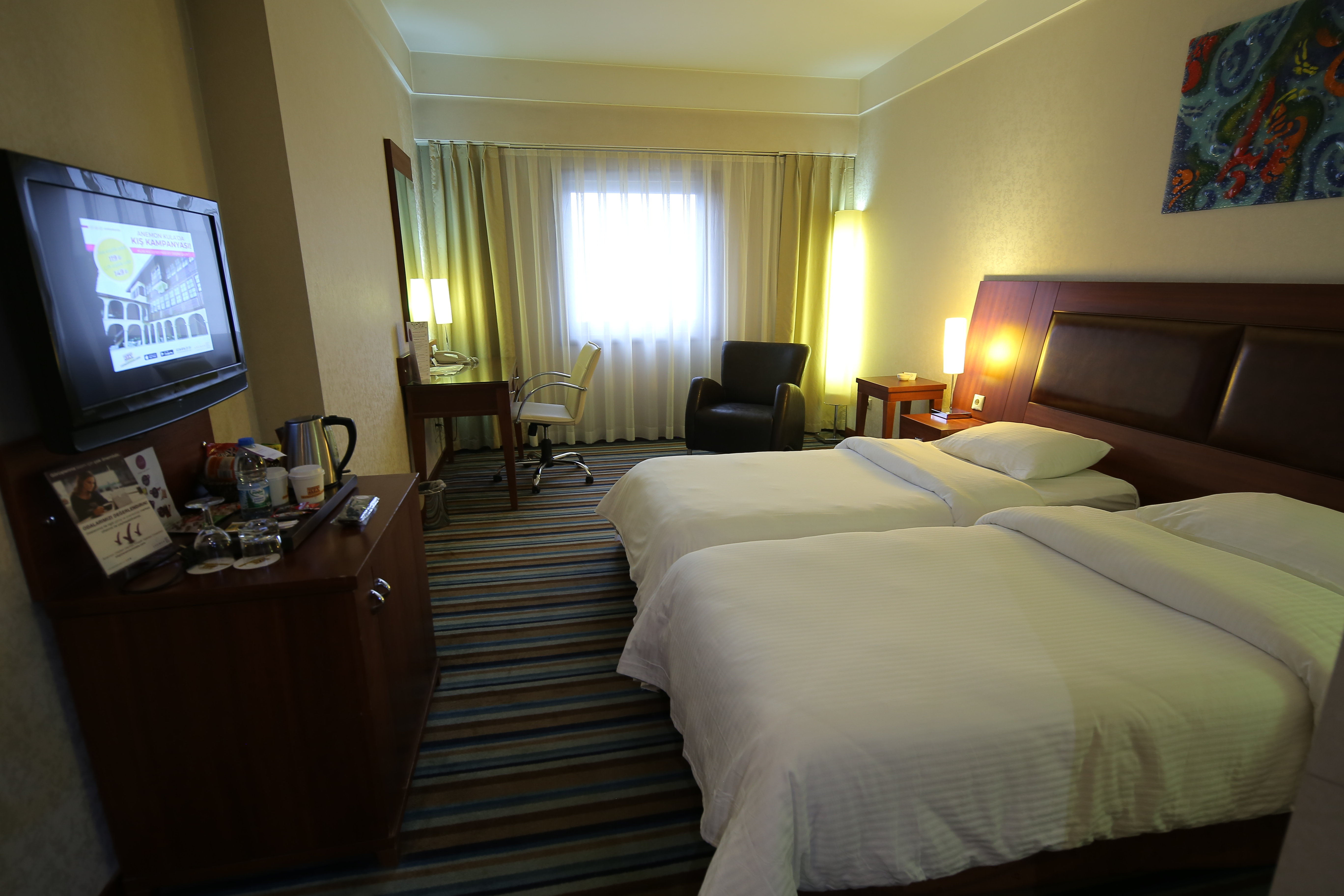 Hotel Anemon Eskisehir