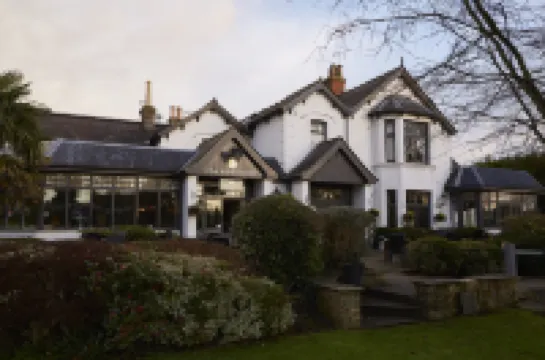 White Rabbit by Chef & Brewer Collection