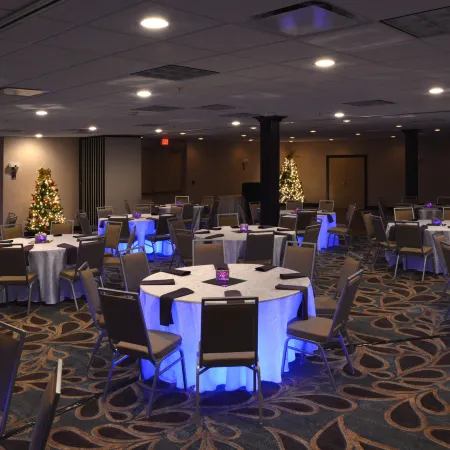 Holiday Inn CANTON (BELDEN VILLAGE) by IHG