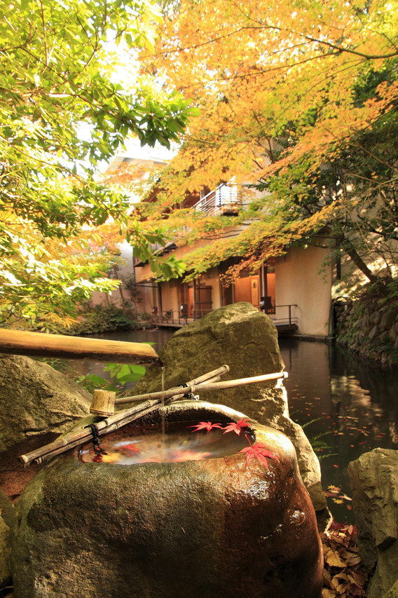 椿山莊酒店（Hotel Chinzanso Tokyo）酒店照片 3/5