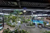 Radisson Hotel Montreal Airport - Pools