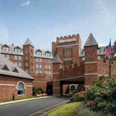 Sheraton Parsippany Hotel Hotel Exterior