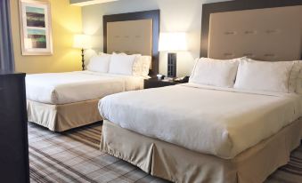 Holiday Inn Express Chicago NW - Arlington Heights